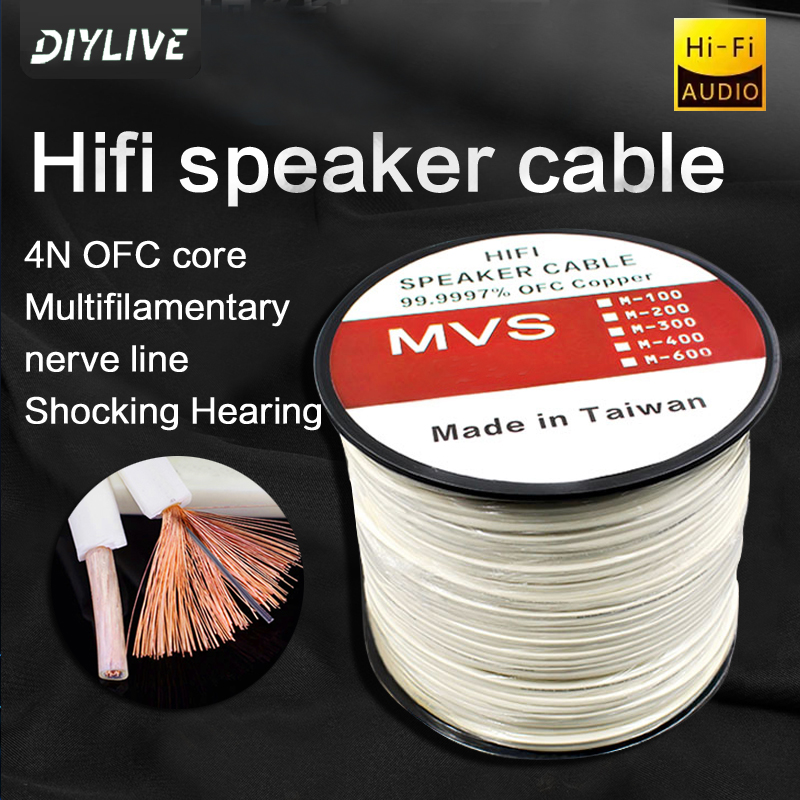 Home Cinema Xlr - DIYLIVE HiFi-Lautsprecherkabel für Heimkino, Auto-Upgrade, Leistungsverstärker,