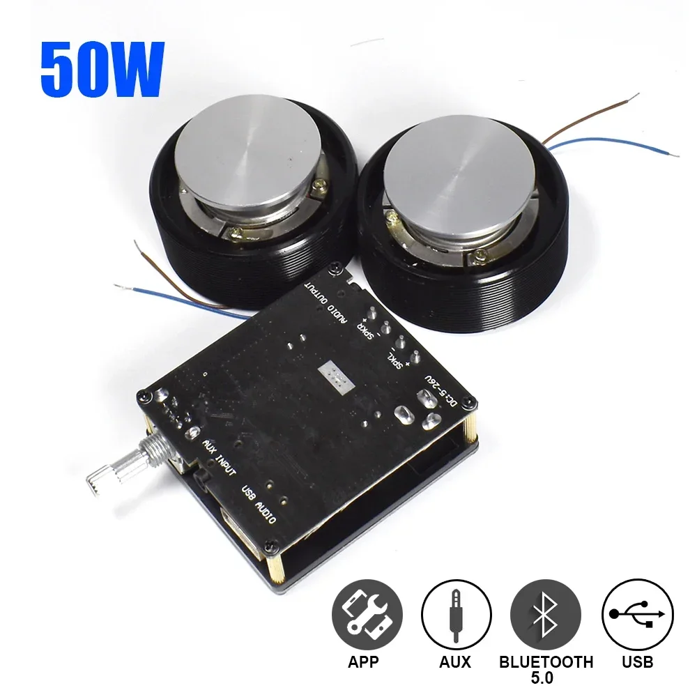 1 Set 50 W 2,0 HIFI Vibration  – Home Cinema Amplifier Bewertung und Preis
