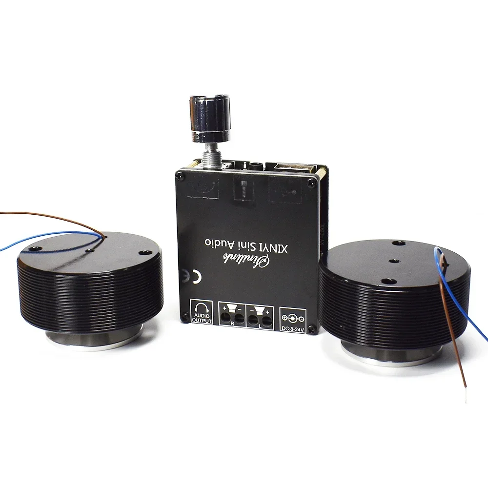 1 Set 50 W 2,0 HIFI Vibration  – Home Cinema Amplifier Bewertung und Preis