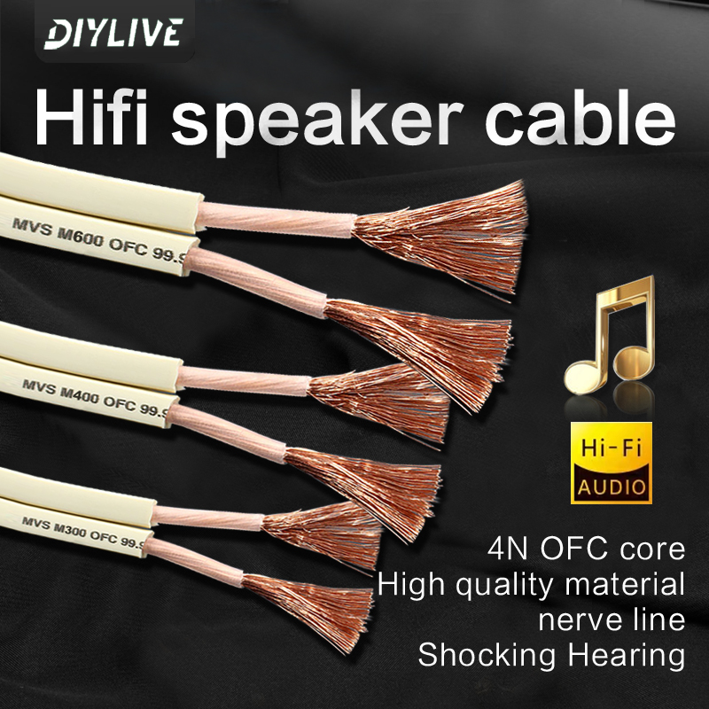 DIYLIVE HiFi-Lautsprecherkabel – Home Cinema Xlr Bewertung und Preis