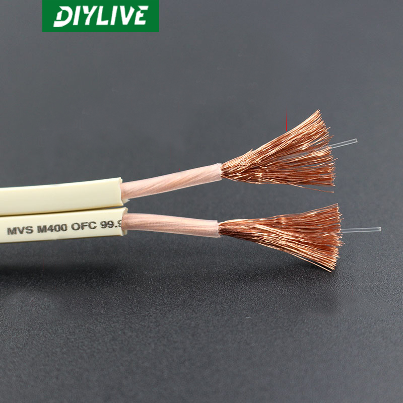 DIYLIVE HiFi-Lautsprecherkabel – Home Cinema Xlr Bewertung und Preis